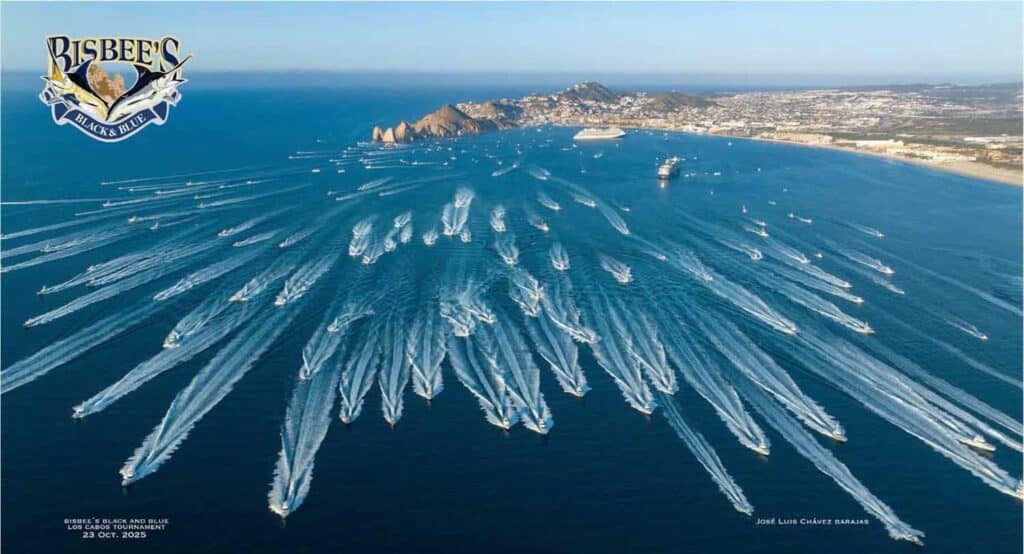 Aerial view of Bisbee's Black and Blue fleet.