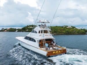 A sport-fishing boat cruises across the open water.
