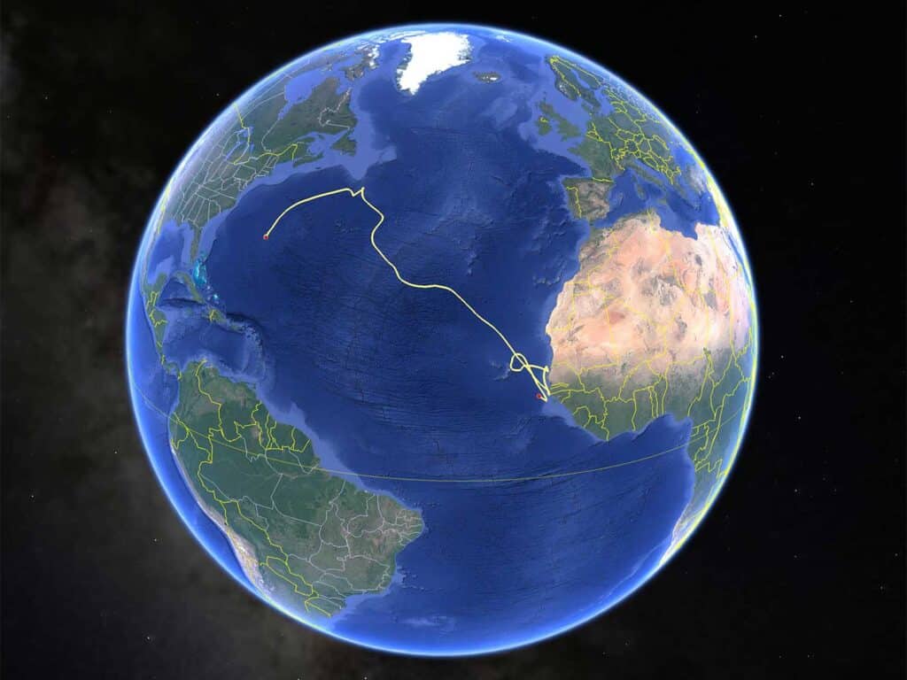 satellite view of the earth showing a track for a marlin tag.