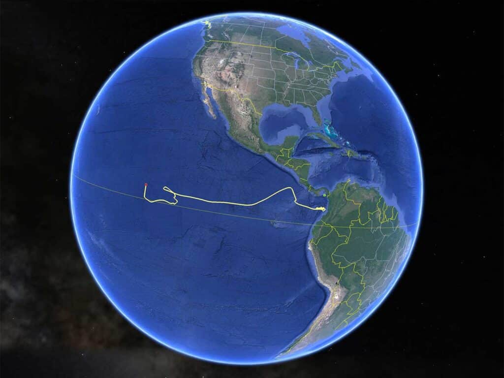 satellite view of the earth showing a track for a marlin tag.