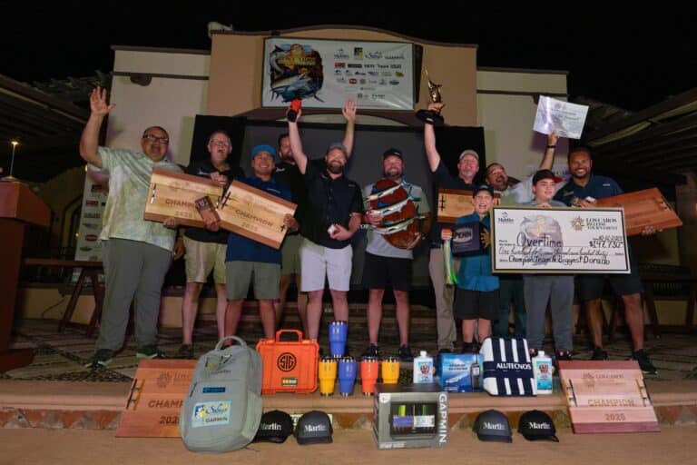 LCBT 2025 Gallery - Awards