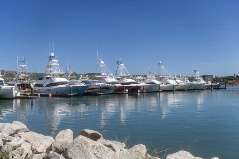 LCBT 2025 Gallery - Boats/Anglers