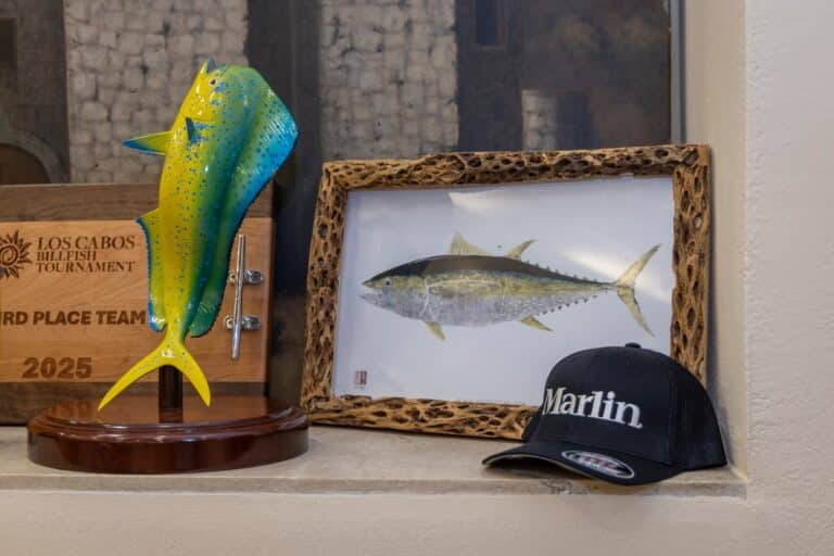 LCBT 2025 Gallery - Kickoff