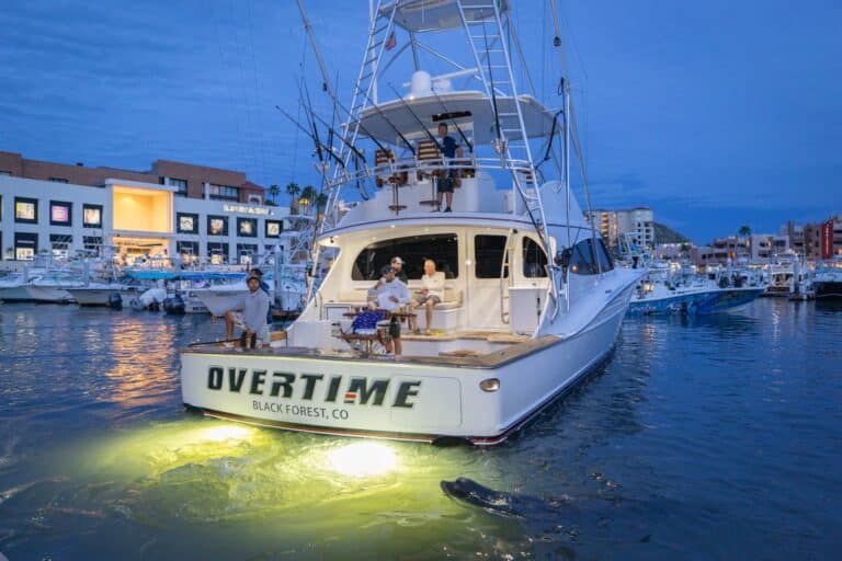 LCBT 2025 Gallery - Weigh-In