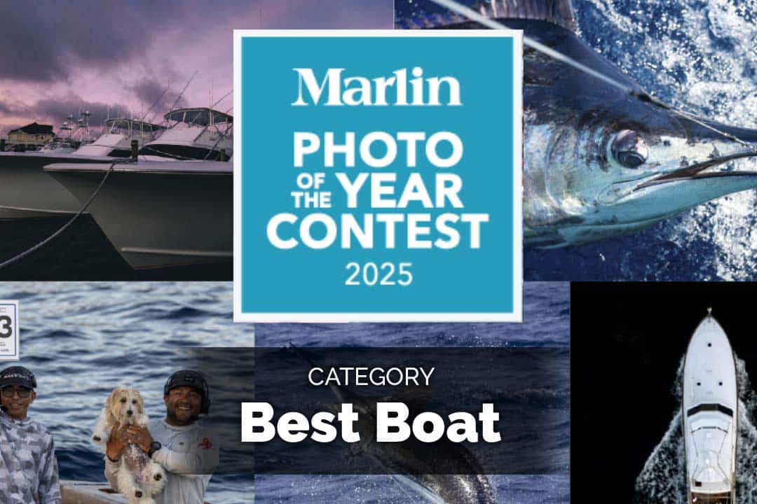 Marlin Photo of the Year Contest, Boat Category