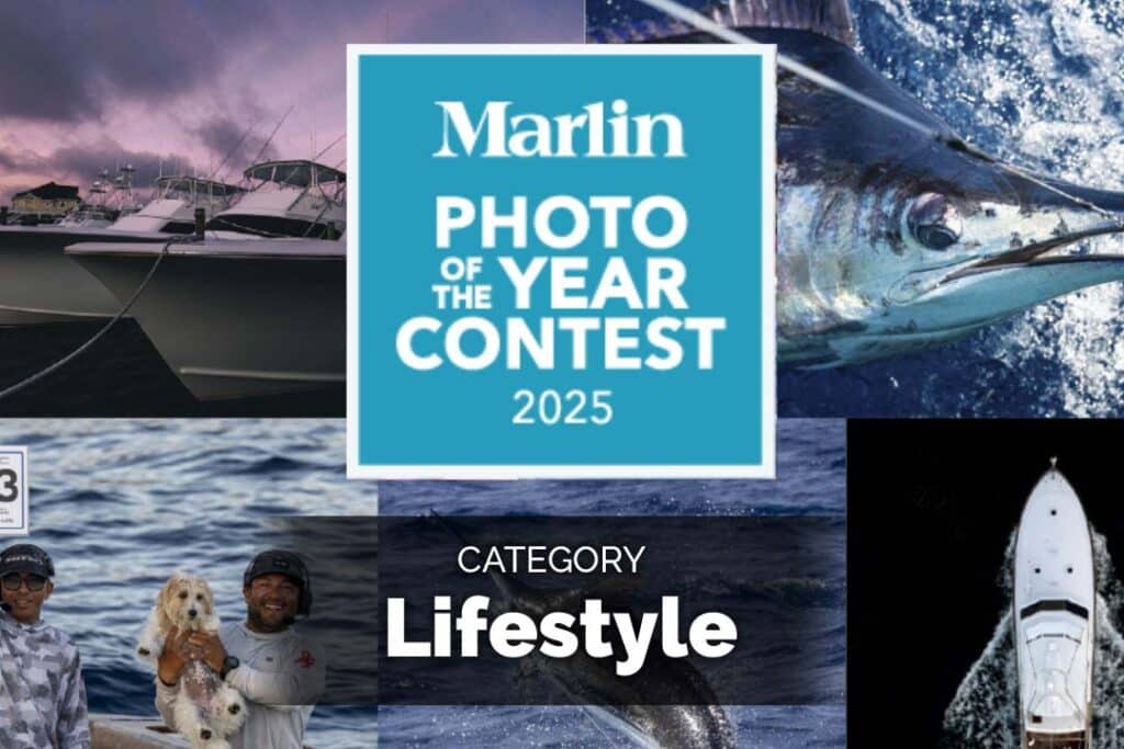 Marlin Photo of the Year Contest, Lifestyle Category