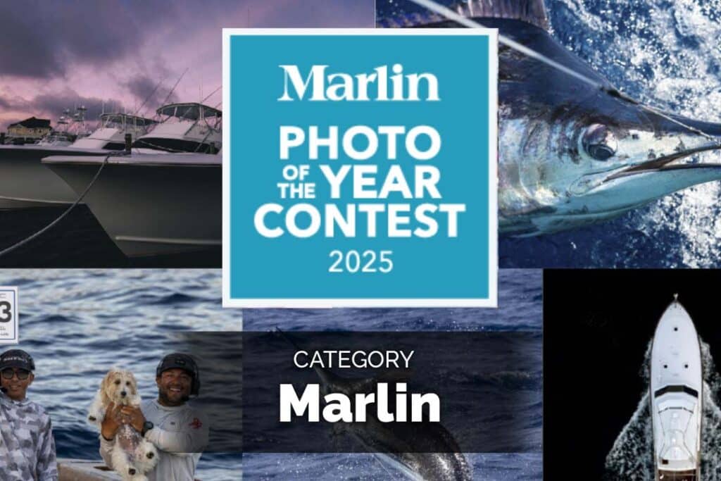 Marlin Photo of the Year Contest, Marlin Category