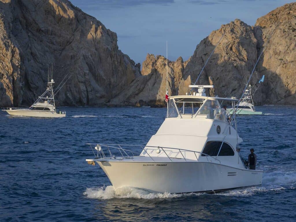 A fleet of sport-fishing boats cruising across the Los Cabos waters.