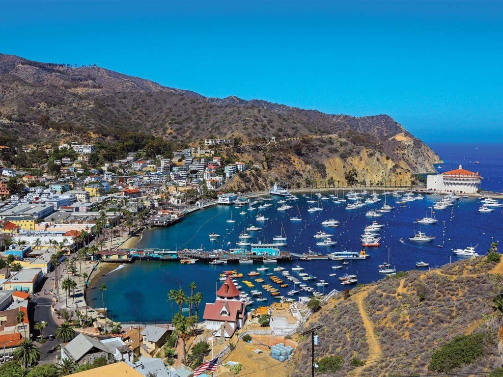 Aerial view of a Californian marina and seaside town.