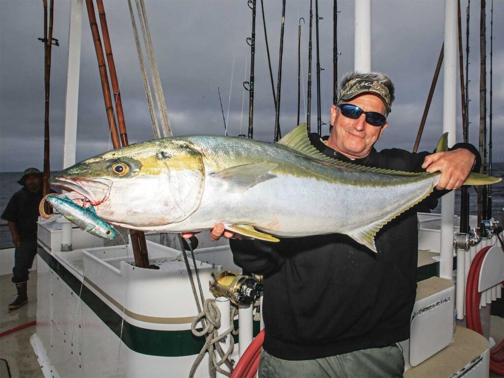 An angler holding up a Californian Yellowtail