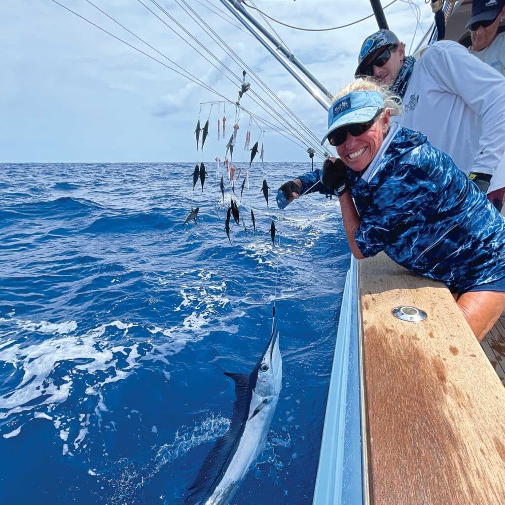 Angler pulling billfish boatside.