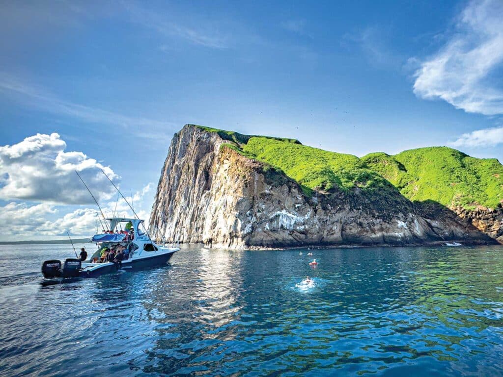 A marlin expeditions swim break near islands.