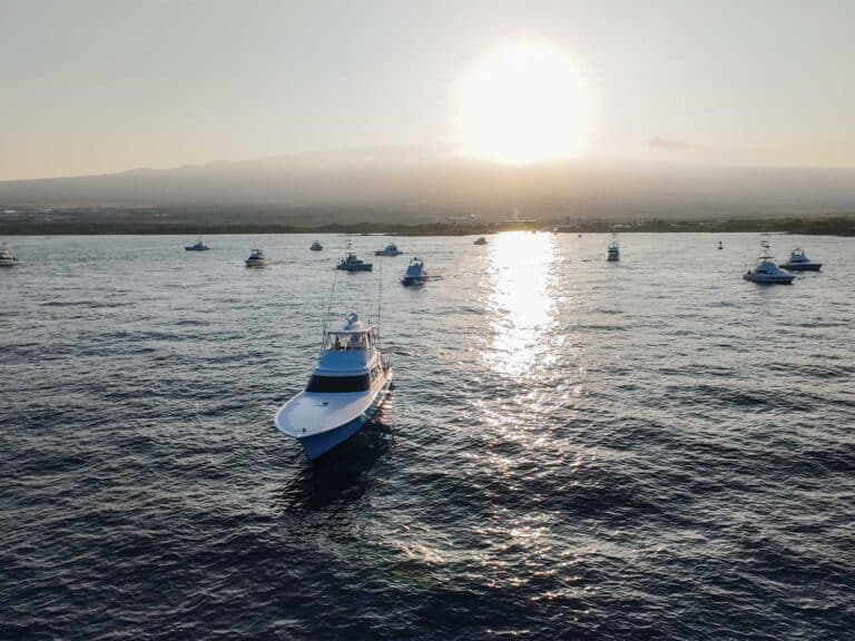 A fleet of sport-fishing boats on the water for a day of fishing.
