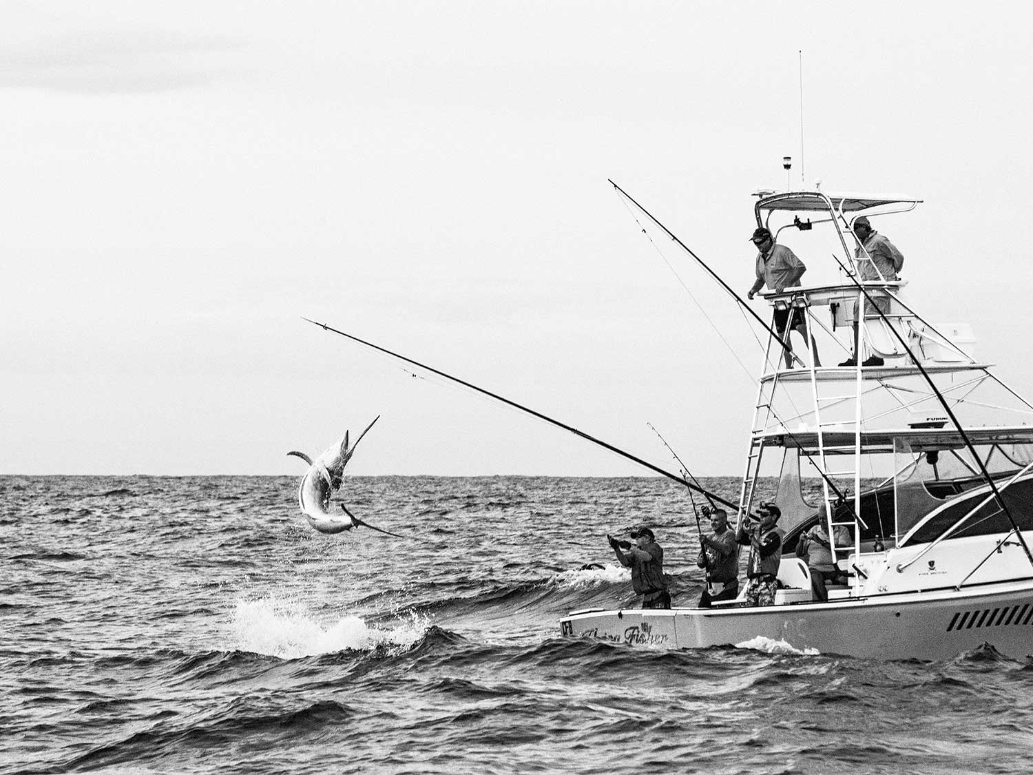 Australia’s Port Stephens is the Ultimate Marlin Hotspot for Big-Game Anglers