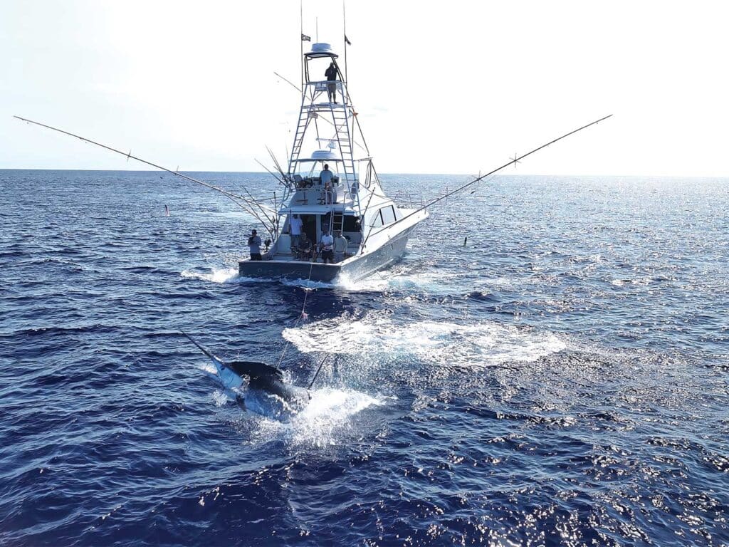 View of team Bad Company fighting a large marlin in Cape Verde.