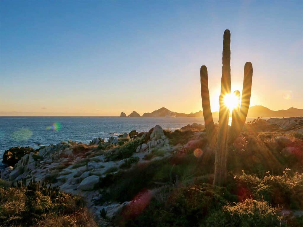 View of the Baja horizon.