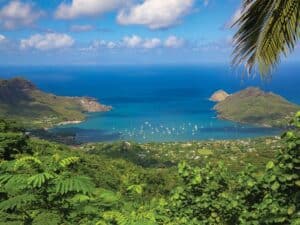 Aerial view of a lush tropical landscape overlooking a blue ocean.