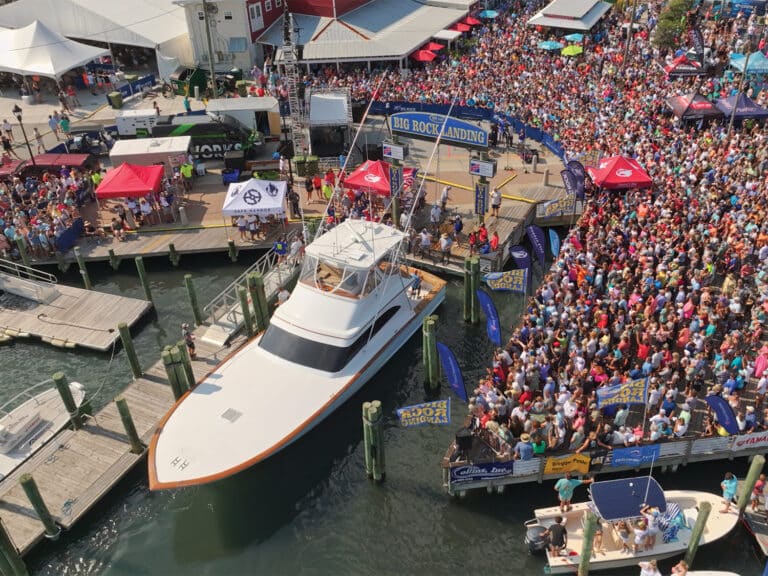 Large crowds gather dockside at the Big Rock Blue Marlin Tournament