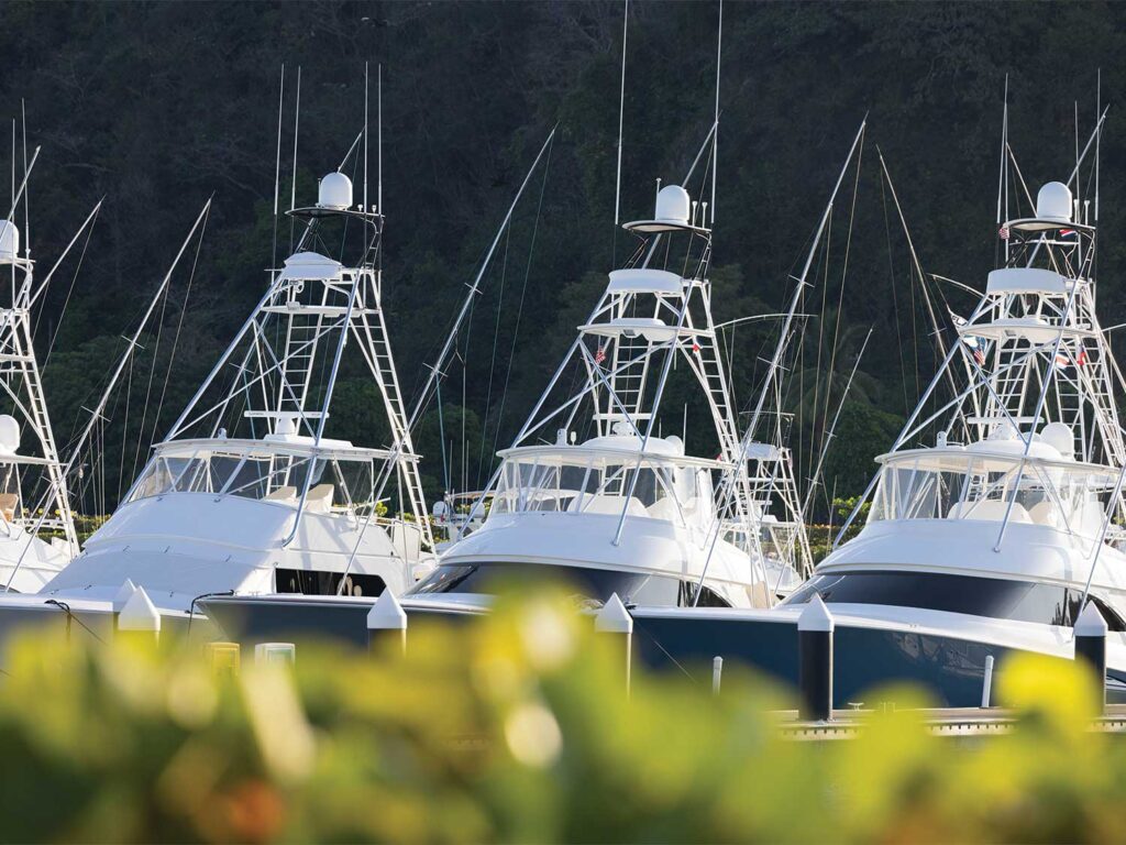 Luxury fishing boats in marina