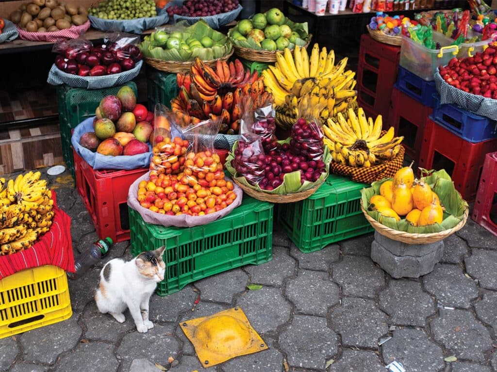 Fruits at a local Guatemalan market.
