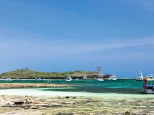 Fleet of sport-fishing boats