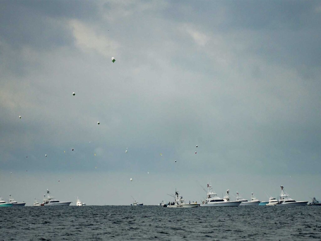 A fleet of sportfishing boats kite fishing.