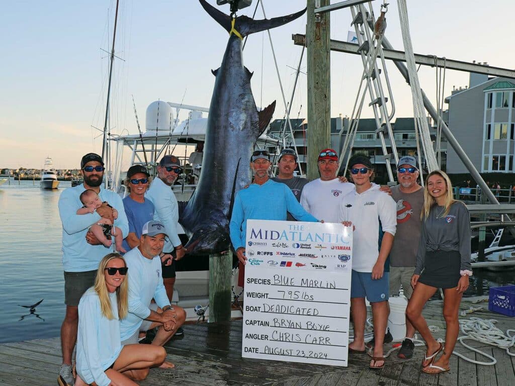 A team of anglers next to a weighed blue marlin.