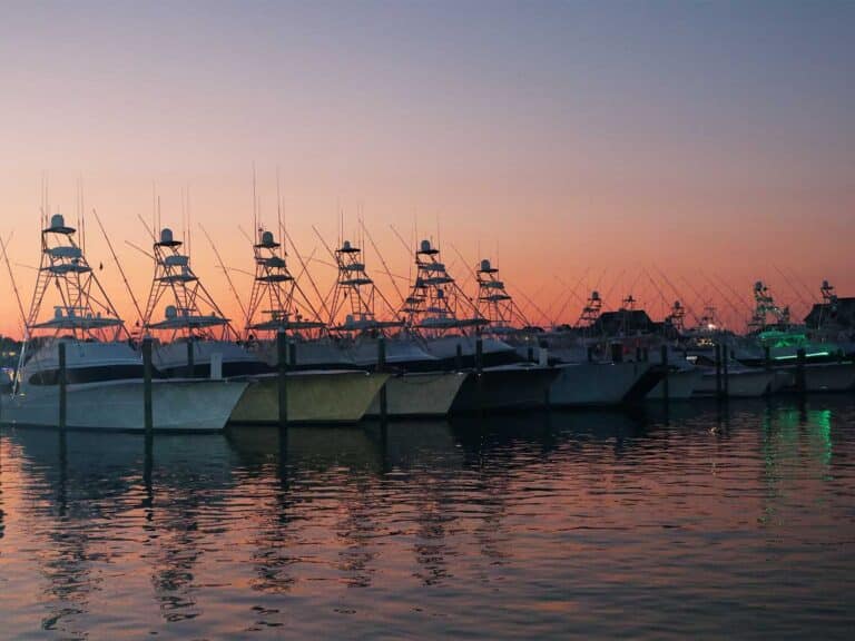 Boats in a marina at the MidAtlantic.