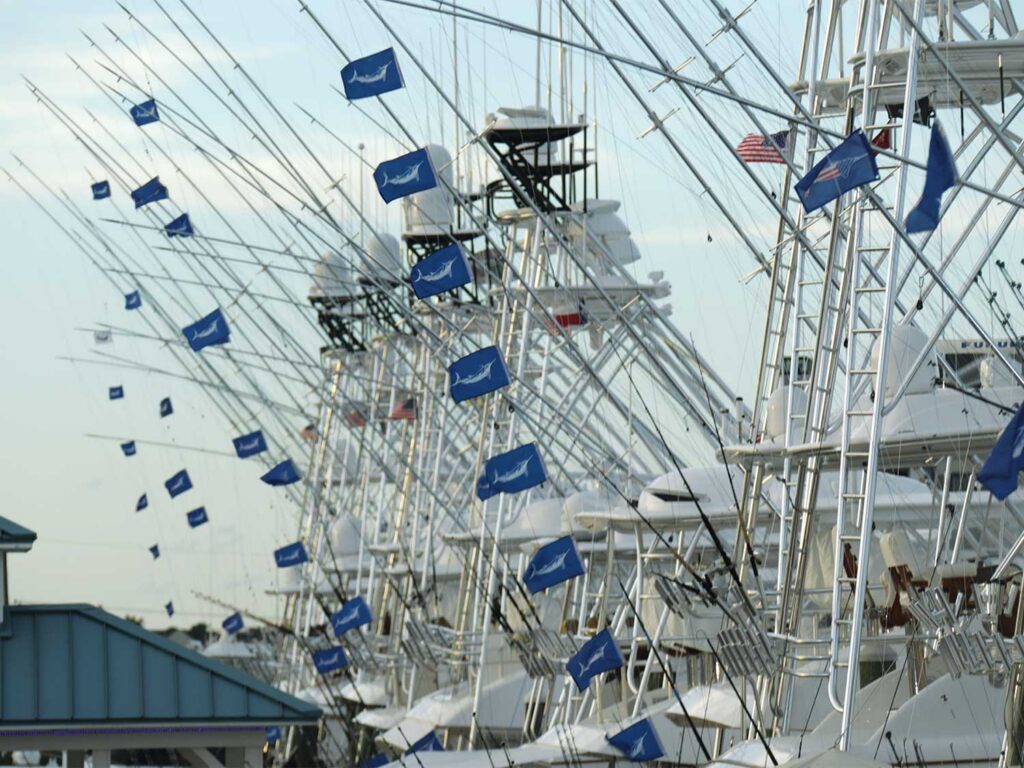 A fleet of boats flying release flags.