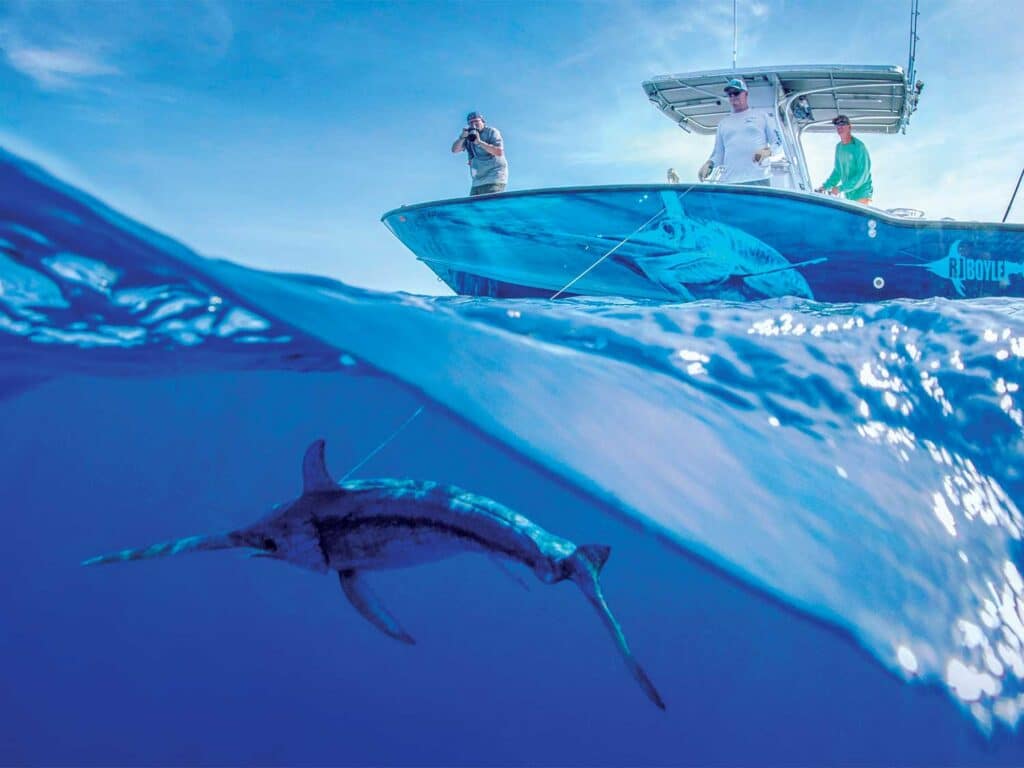 A swordfish underwater.