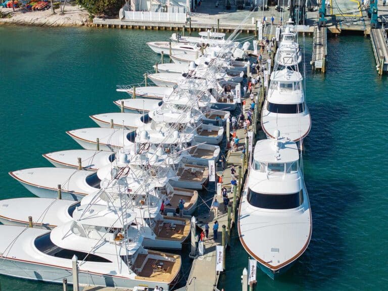 Aerial view of the docks with a full lineup of Viking and Valhalla boats.