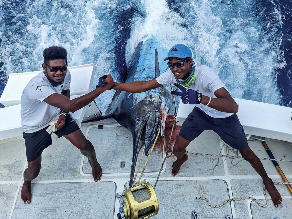 Two anglers pull a grander marlin onboard.