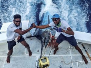 Two anglers pull a grander marlin onboard.