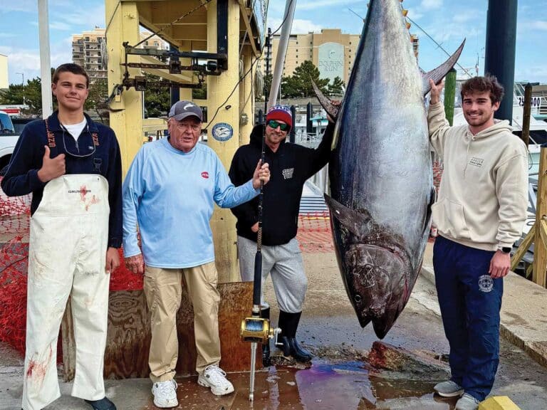 Anglers standing next to a bluefin tuna