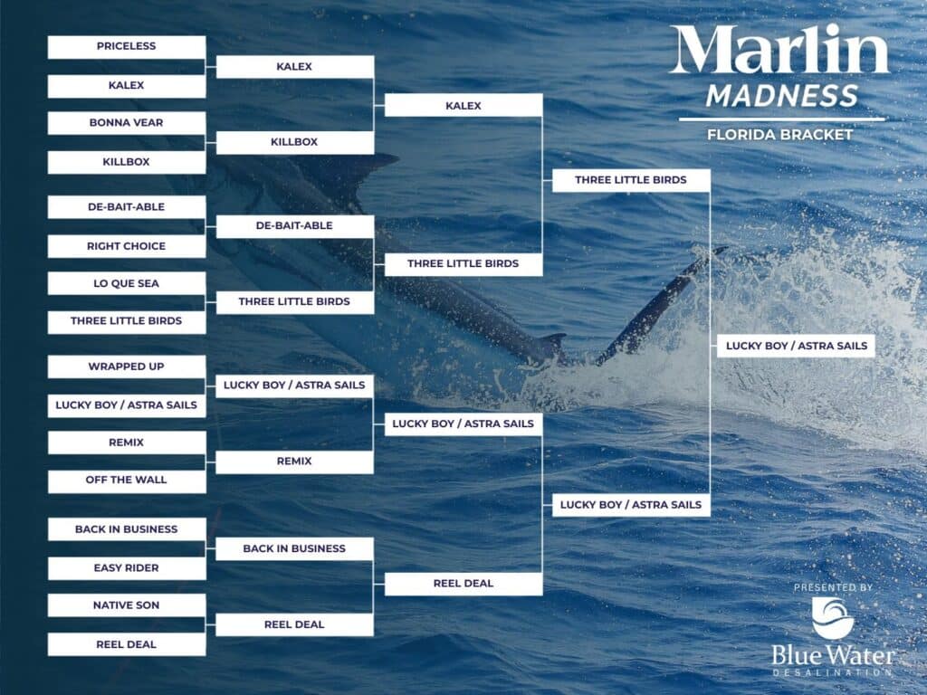 Marlin Madness Top 4 Florida