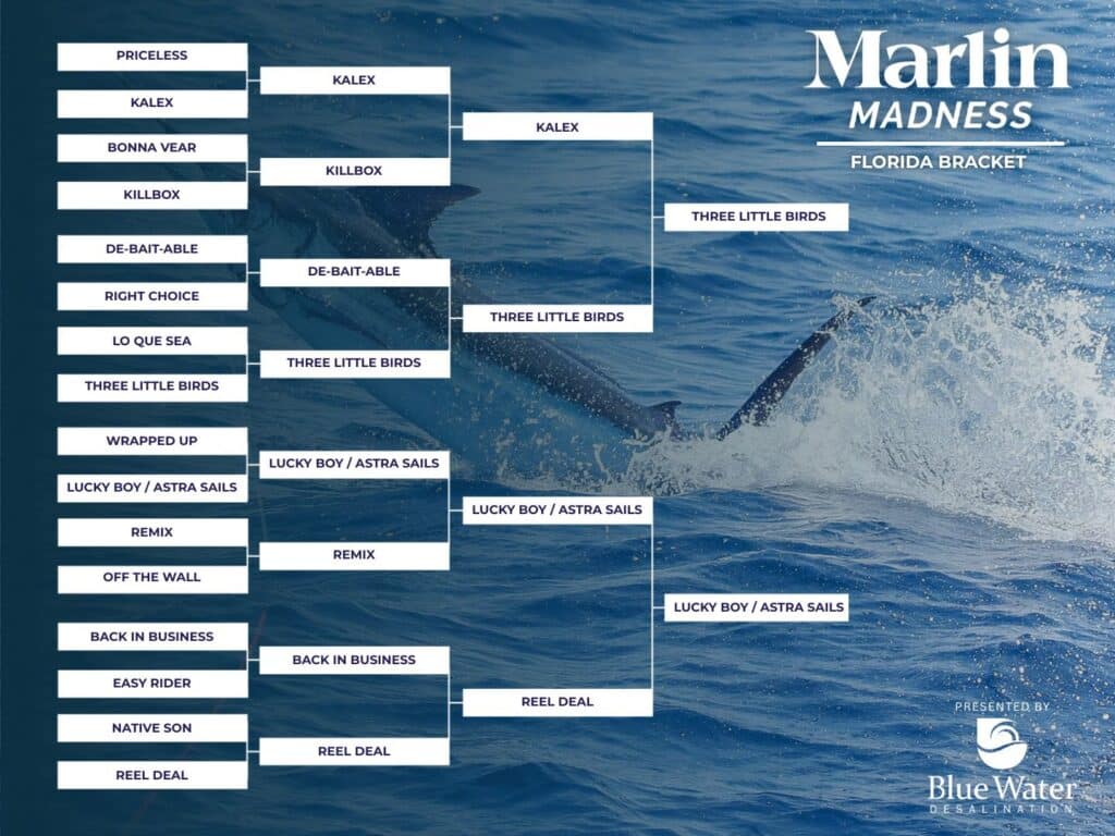 Marlin Madness Elite 8 Bracket Florida