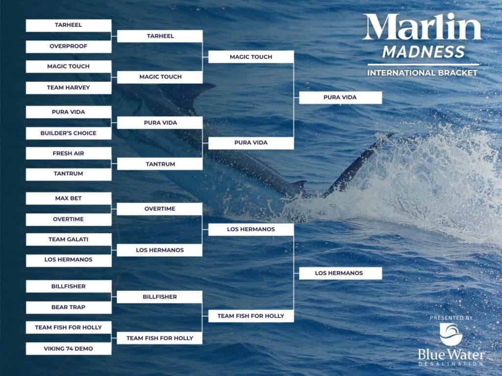 Marlin Madness Elite 8 Bracket International