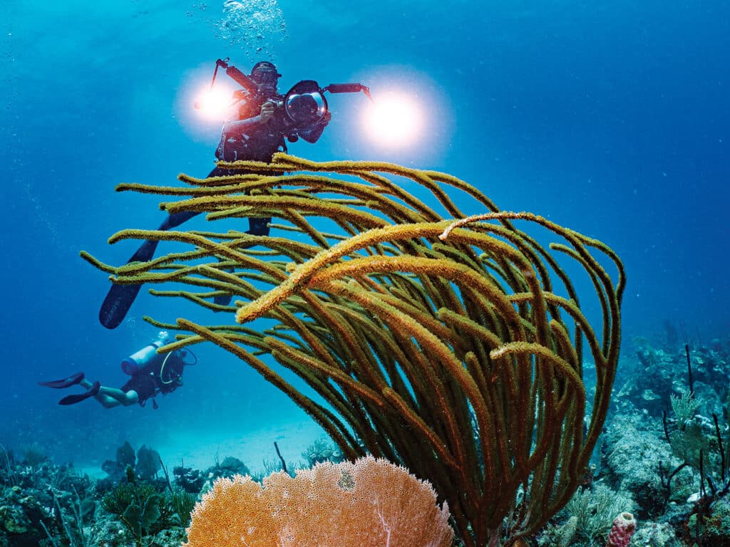 Scuba photo