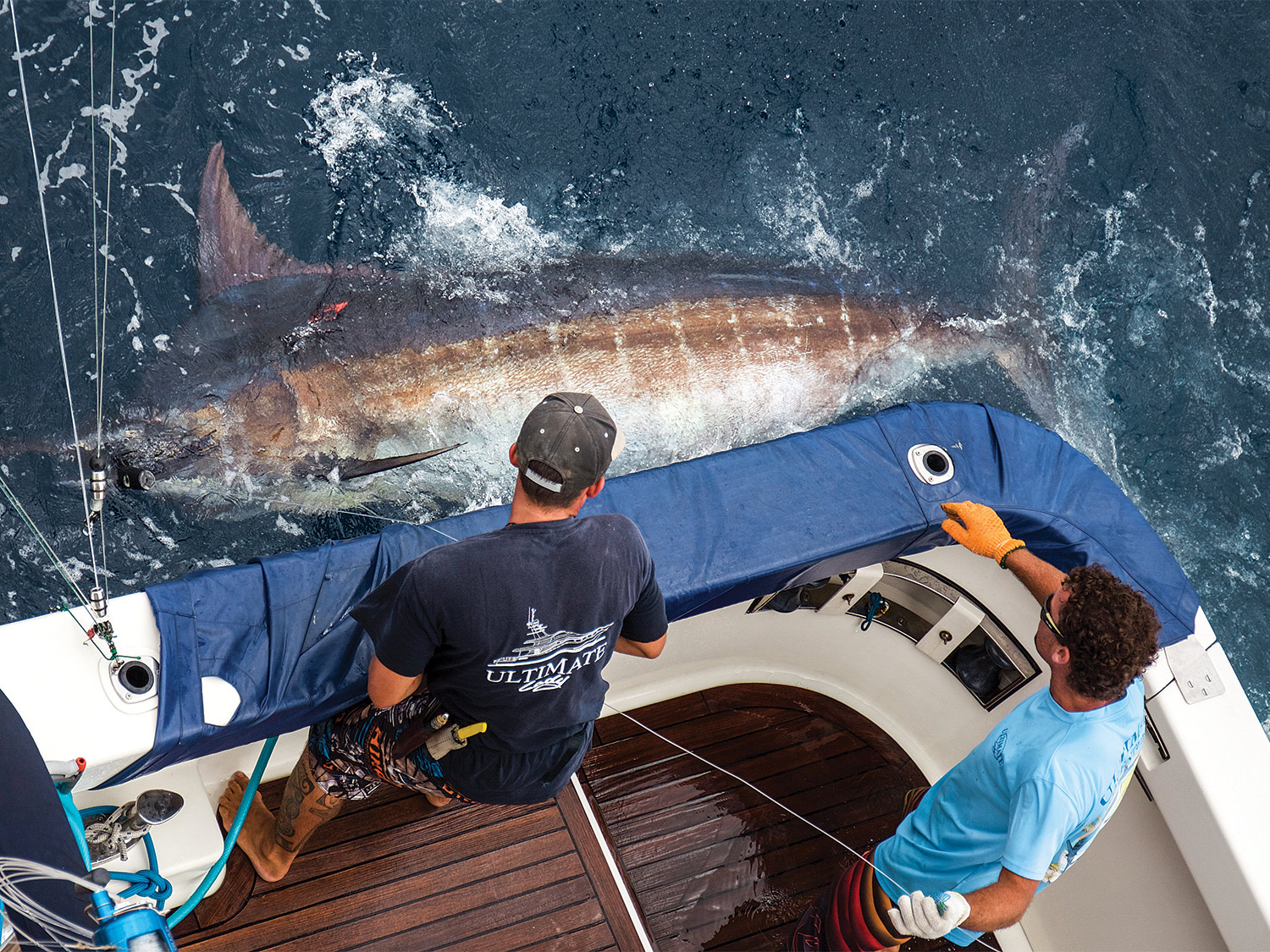 The Best Big Blue Marlin Destinations in the World | Marlin