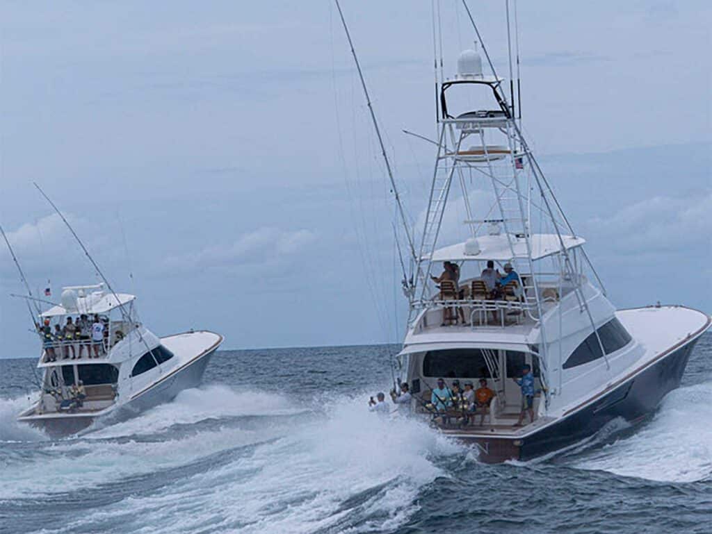Bay Point BIllfish Open Fleet