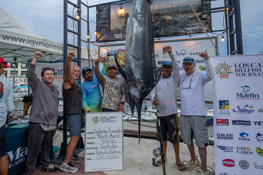 Fishing team weighed Marlin Los Cabos Billfish Tournament