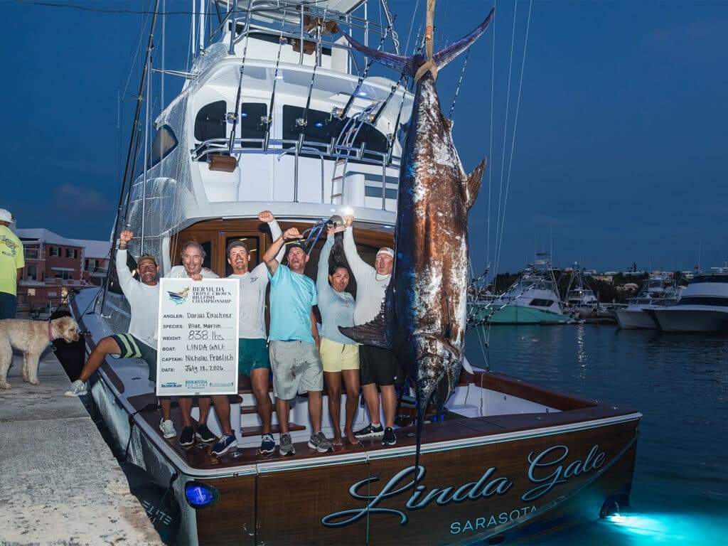 Team Linda Gale
