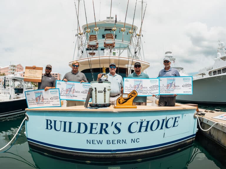 Team Builder's Choice