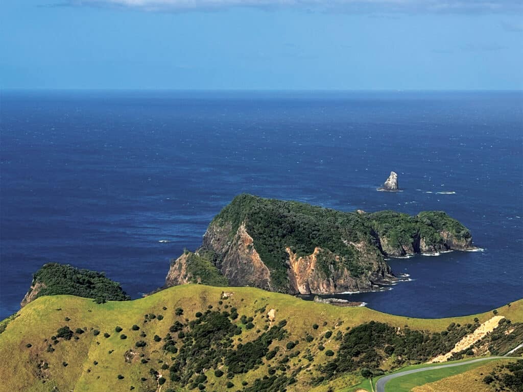 New Zealand ocean coastline