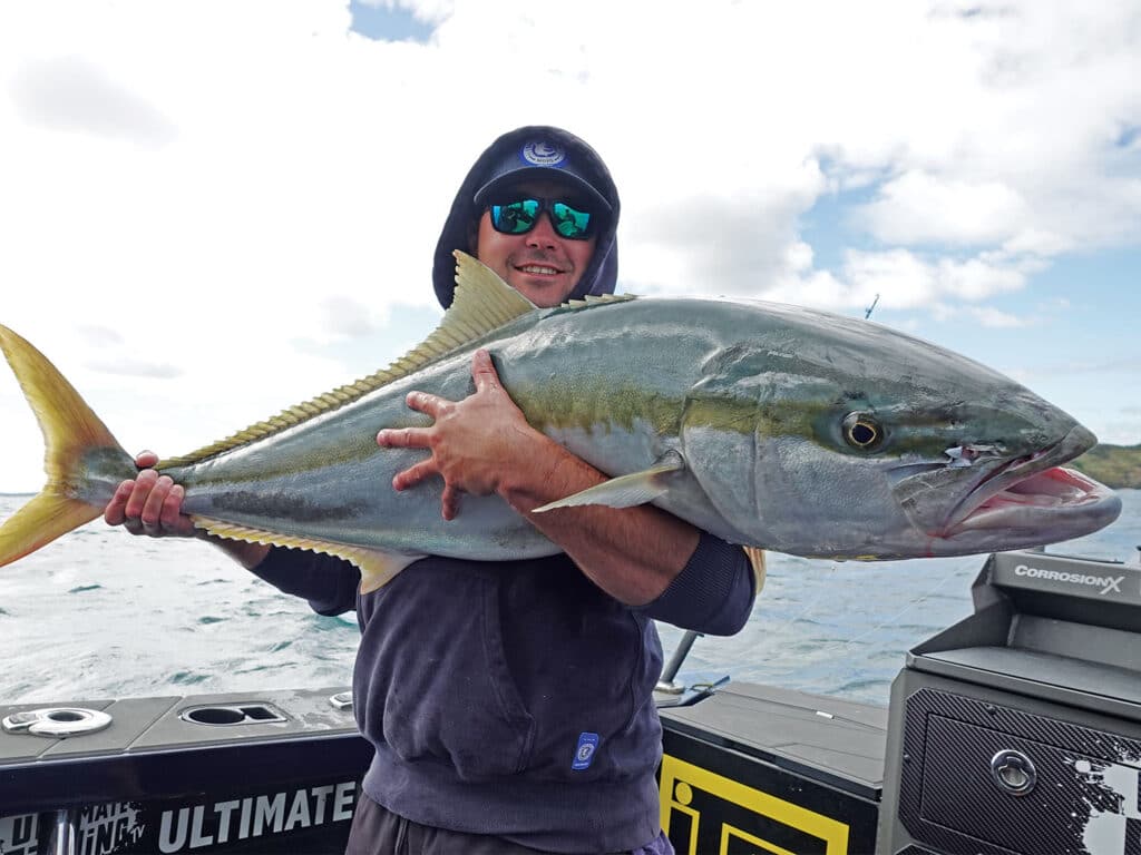 New Zealand Southern Yellowtail Kingfish