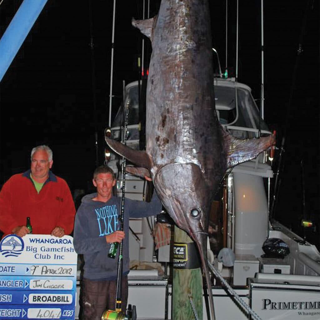 New Zealand Swordfish 404kgs