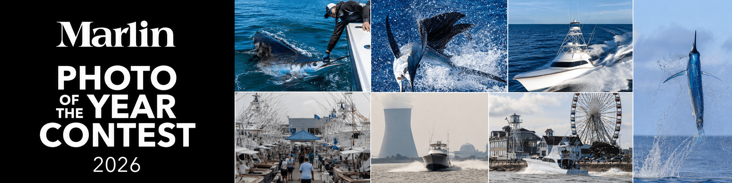 2026 Photo of the Year Contest