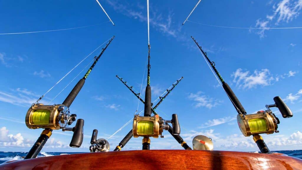 Big game angling reel