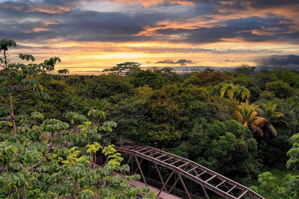 Costa Rica Croc Bay bridge