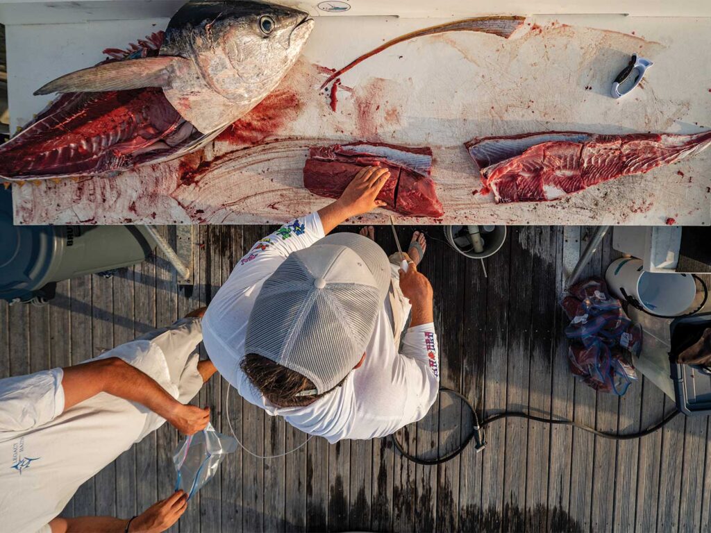 Dockside fish preparation